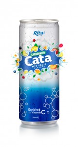 250ml Carbonated Mix Fruit Flavor Drink